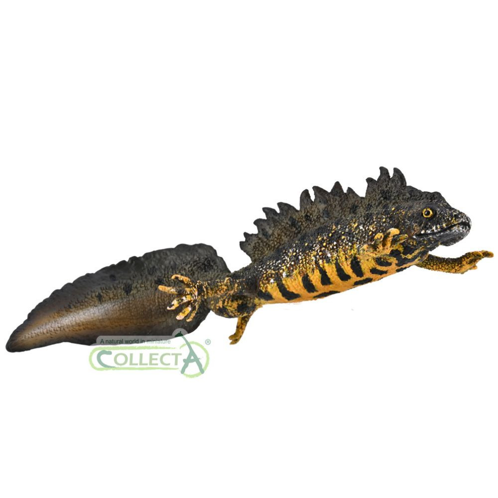 CollectA Great Crested Newt