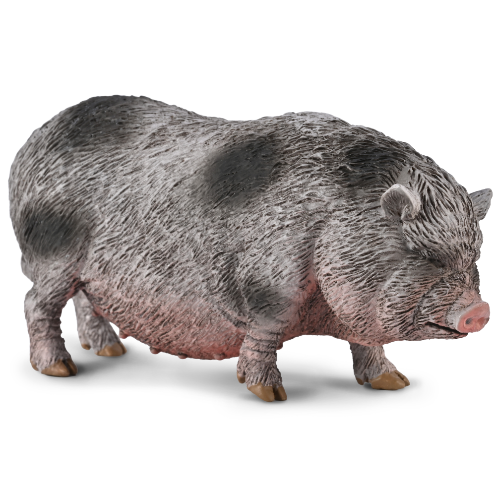 CollectA Pot-Bellied Pig figurine