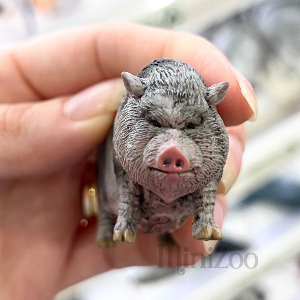 CollectA Pot-Bellied Pig figurine MiniZoo toy fair
