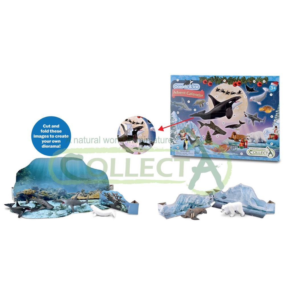CollectA Oceans & Ice Advent Calendar inclusions