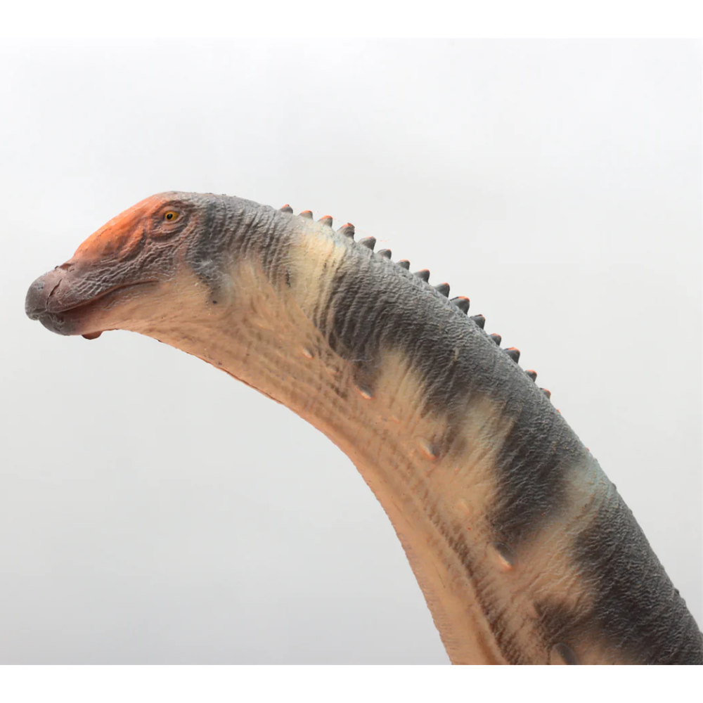 Haolonggood Brontosaurus Grey Du Weng Zhong