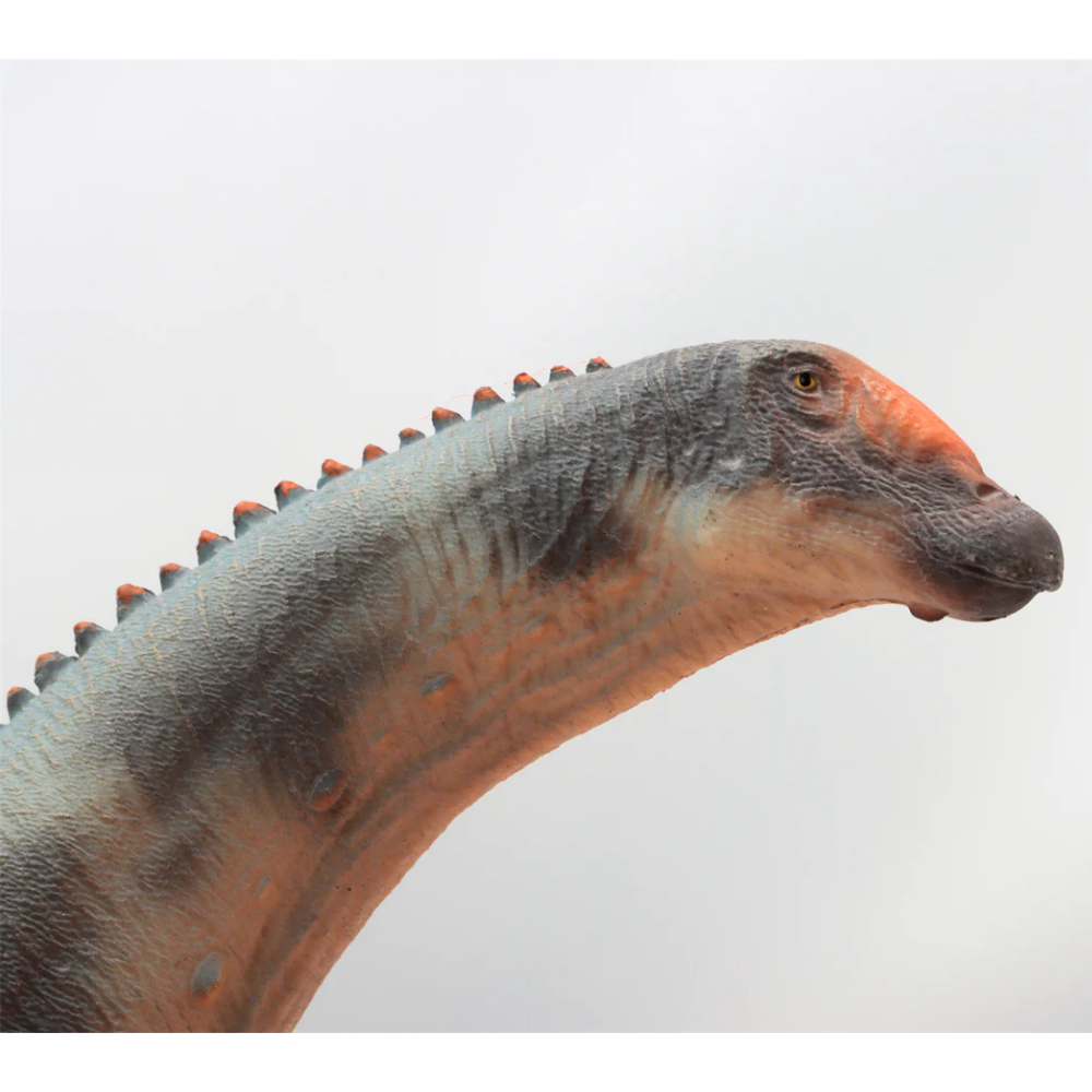 Haolonggood Brontosaurus Grey Du Weng Zhong