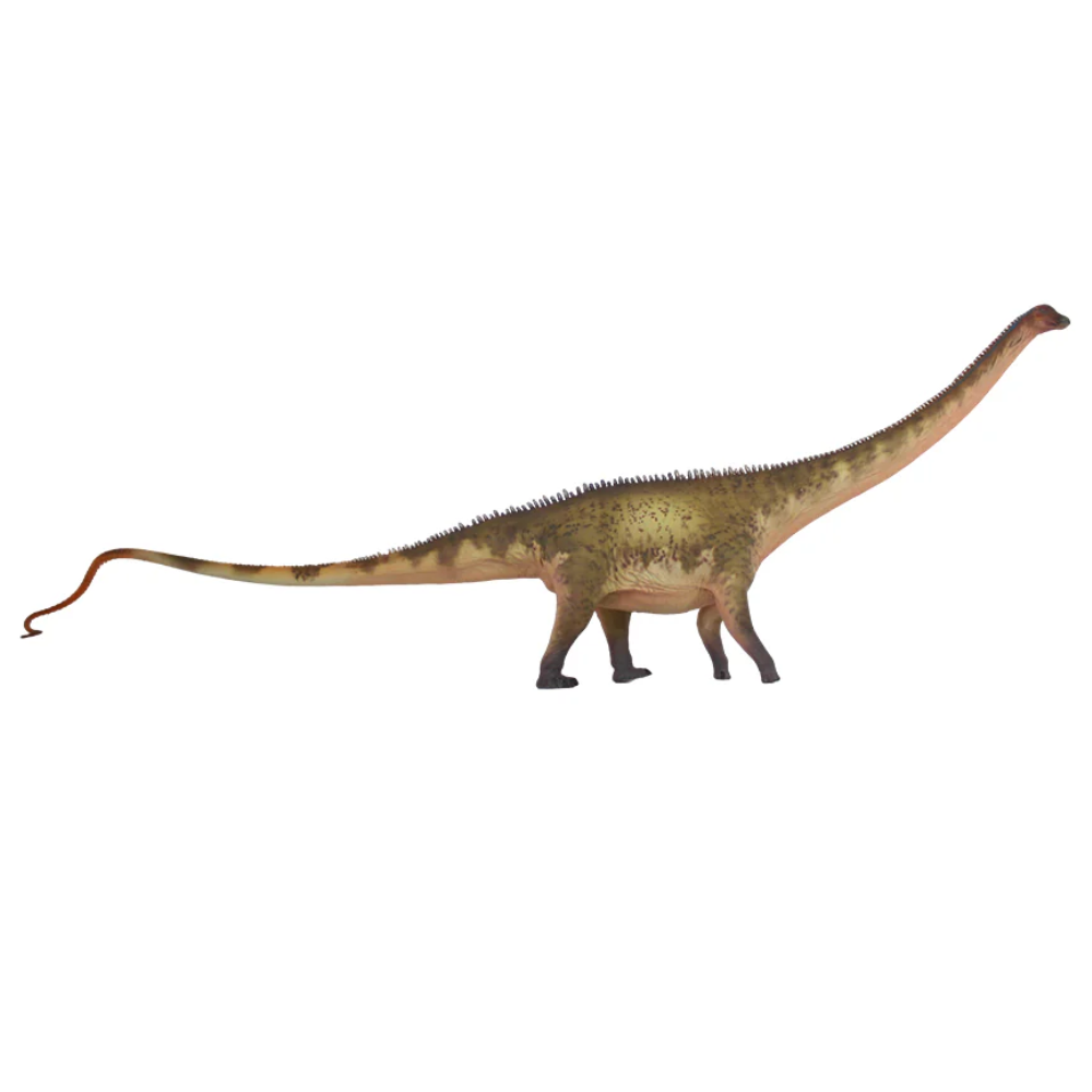 Haolonggood Diplodocus Green Heterochromatic
