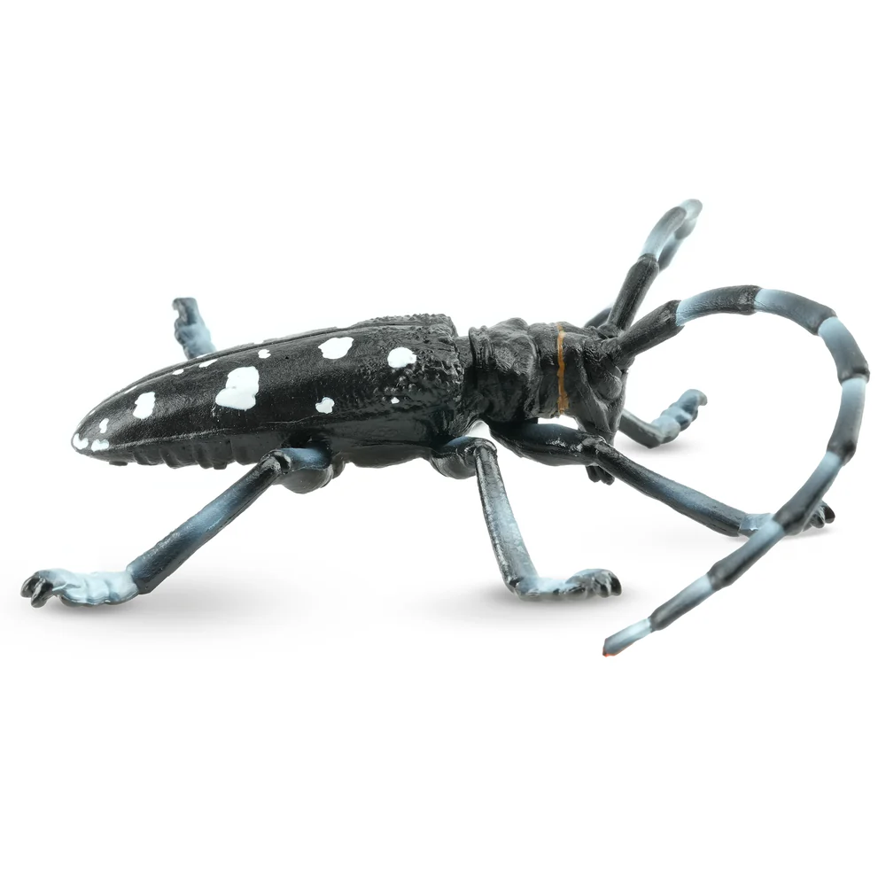 Toymany Citrus Longhorned Beetle toy side view
