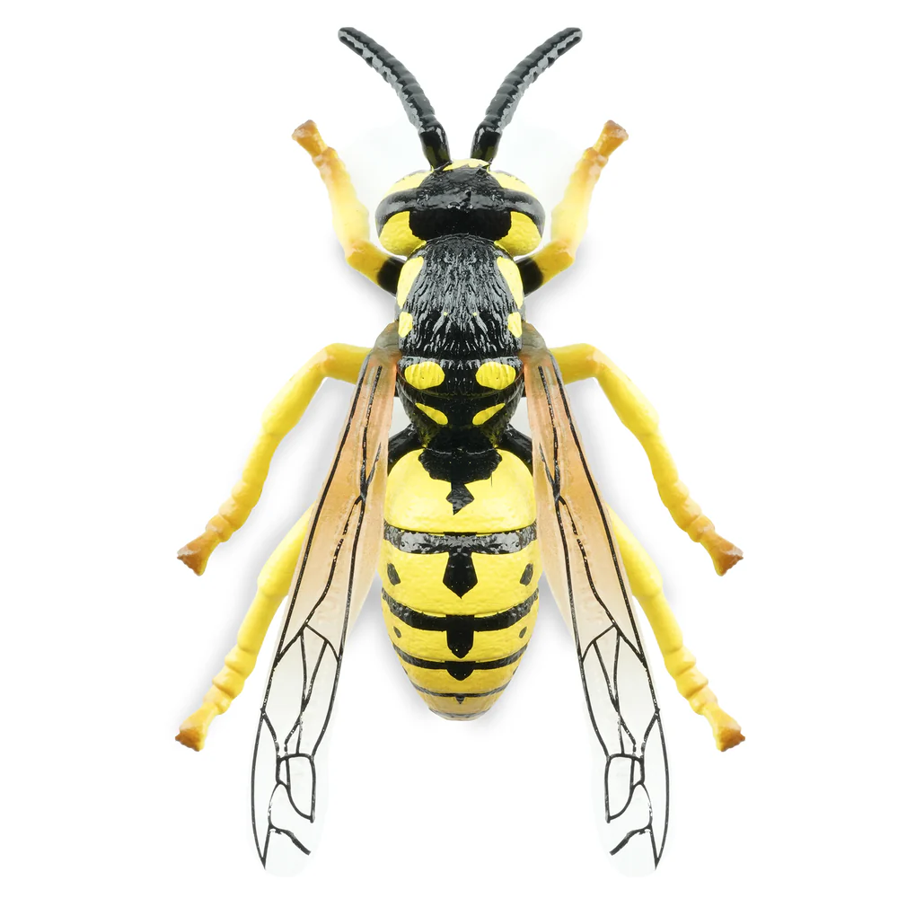 Toymany Wasp toy figurine top view