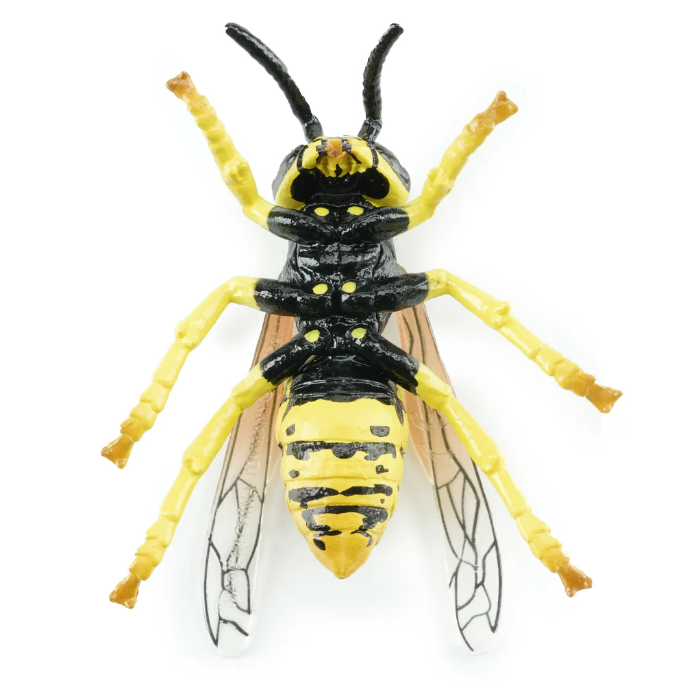 Toymany Wasp