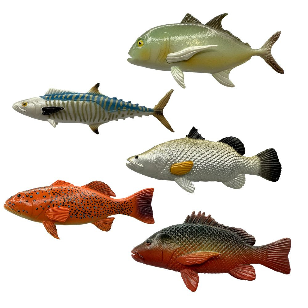 Mini Fish Tropical Fish Set