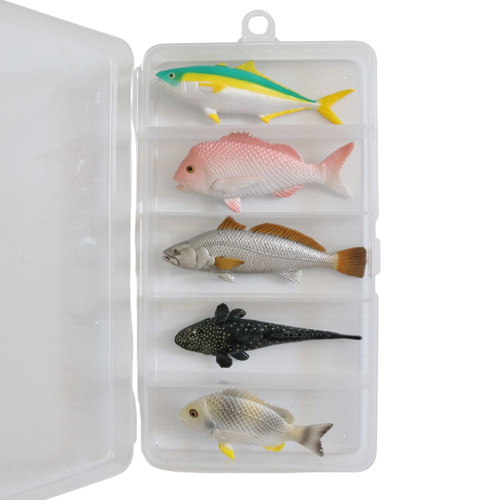 Mini Fish Coastal Fish Set