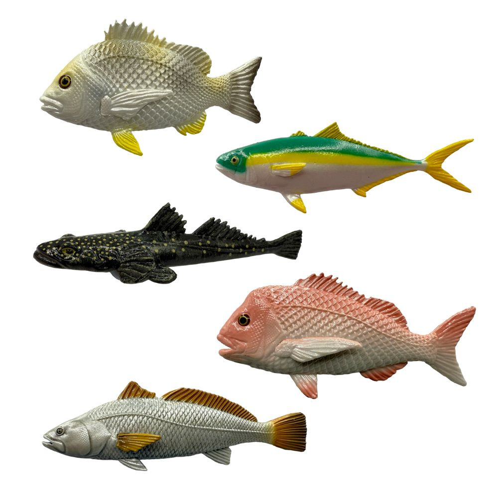 Mini Fish Coastal Fish Set