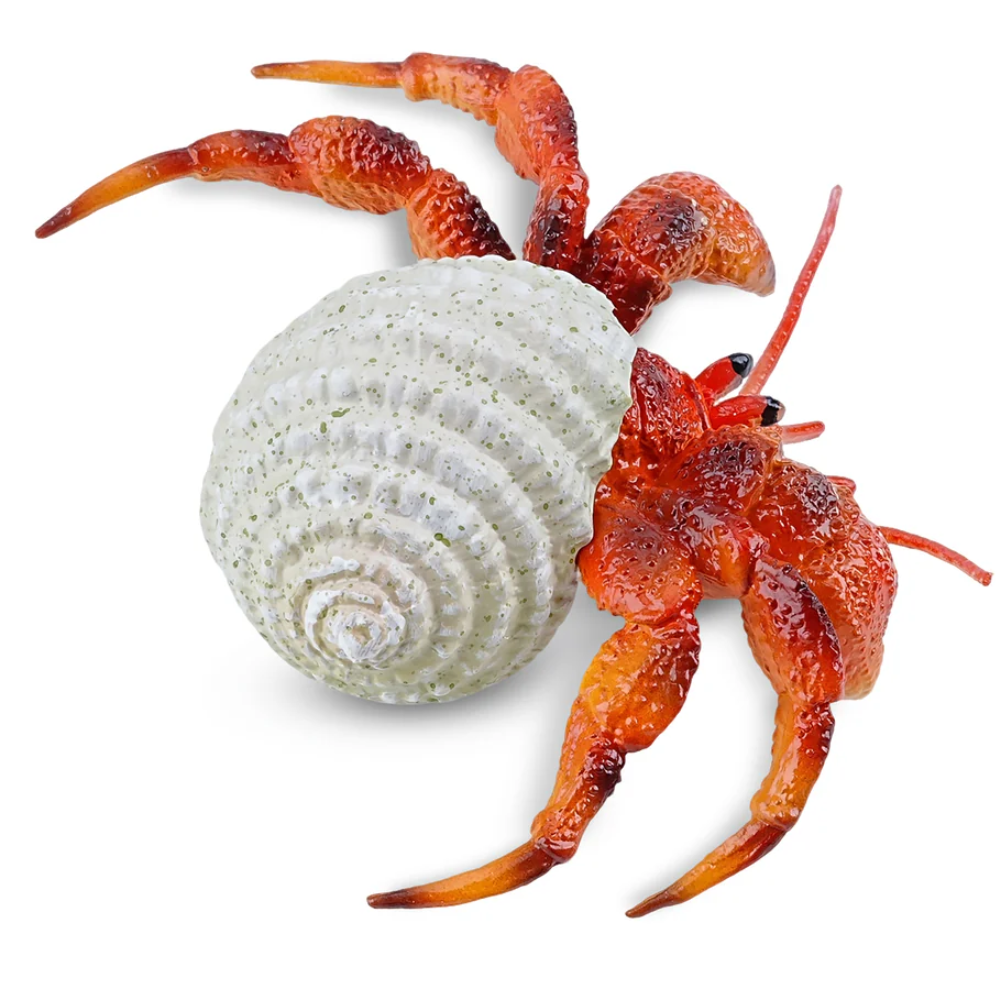 Toymany Hermit Crab toy figurine side view 2