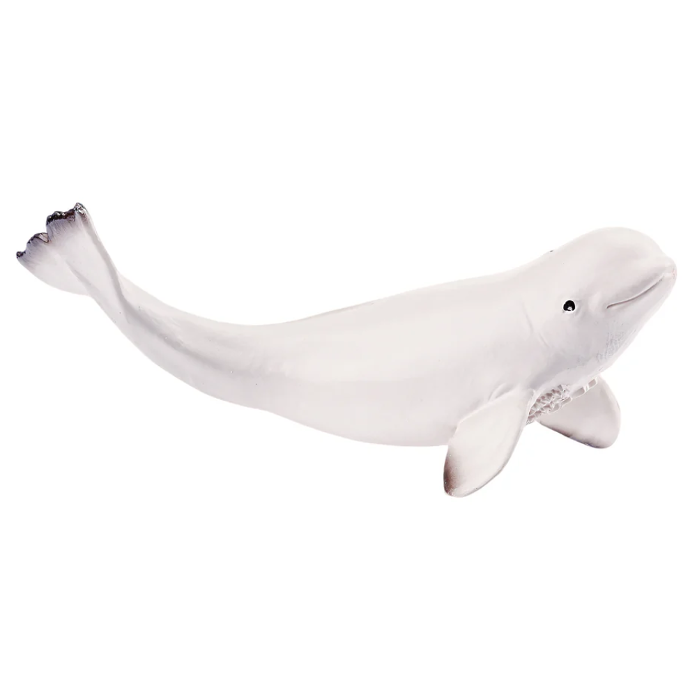 Toymany Beluga Whale Calf