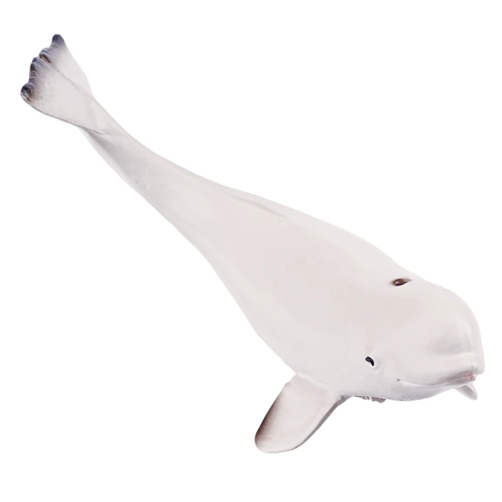 Toymany Beluga Whale Calf toy figurine top view