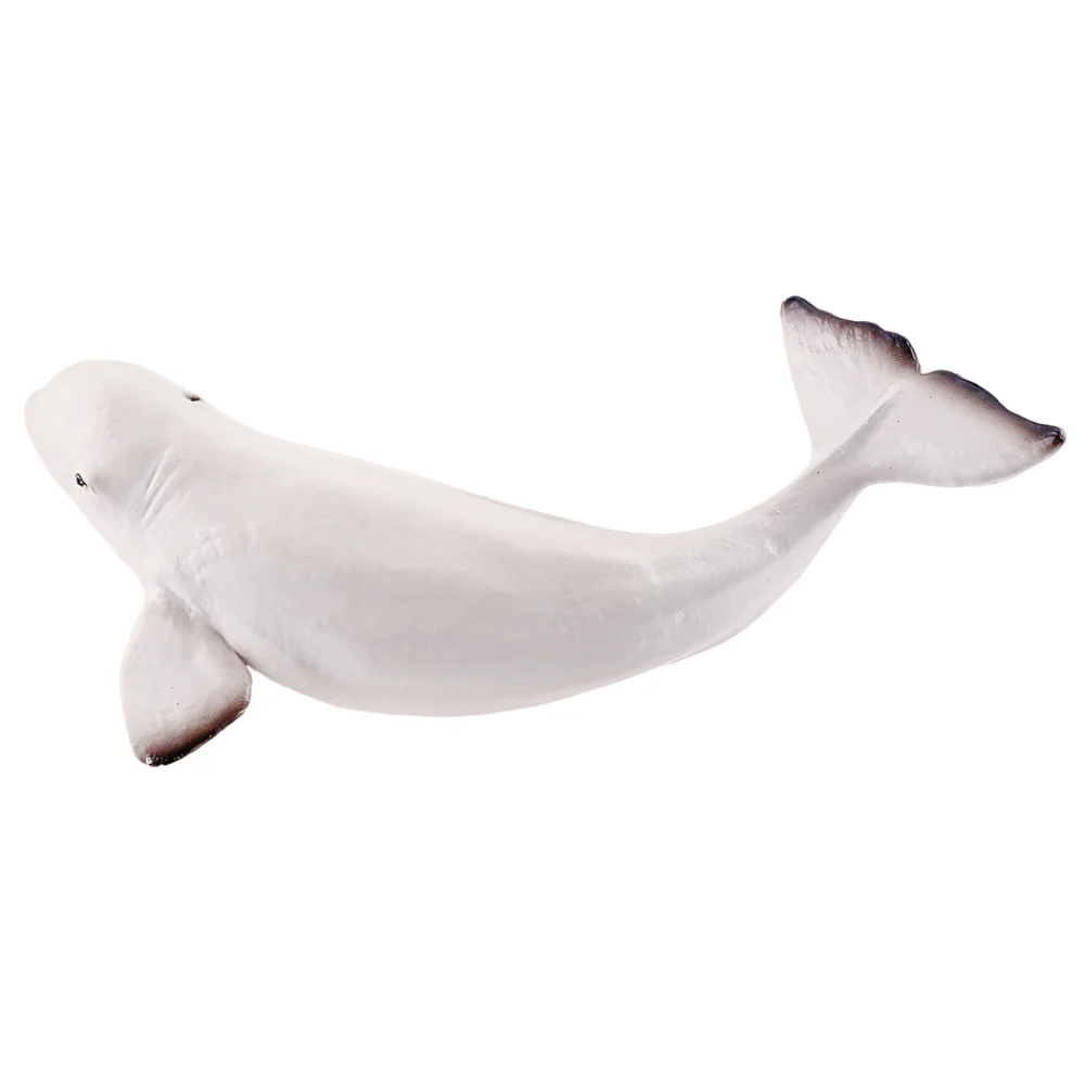 Toymany Beluga Whale Calf toy figurine side view 1