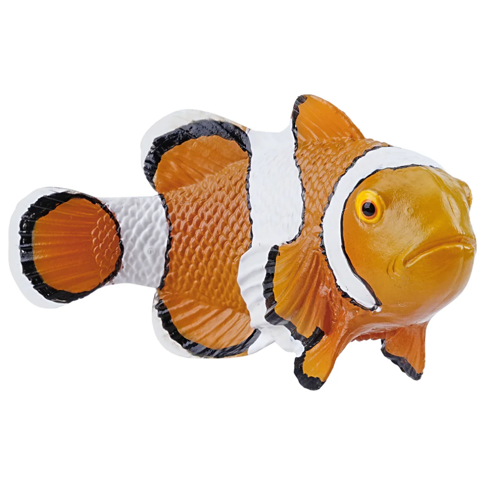 Toymany Clownfish