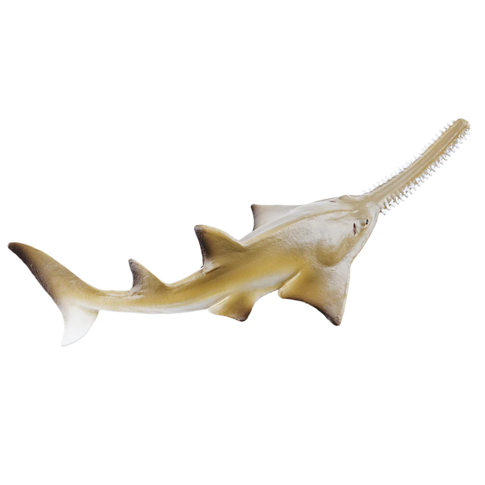 Toymany Smalltooth Sawfish Pup toy figurine under view