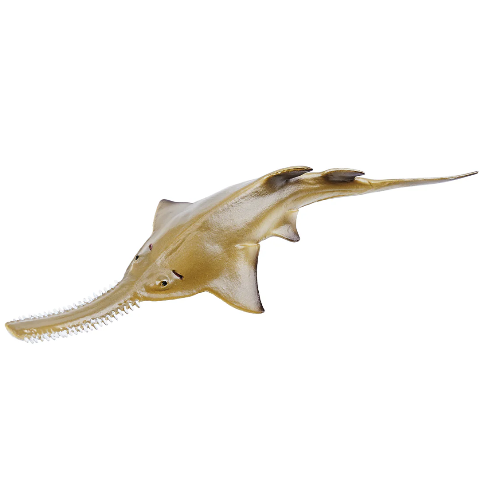 Toymany Smalltooth Sawfish Pup toy figurine