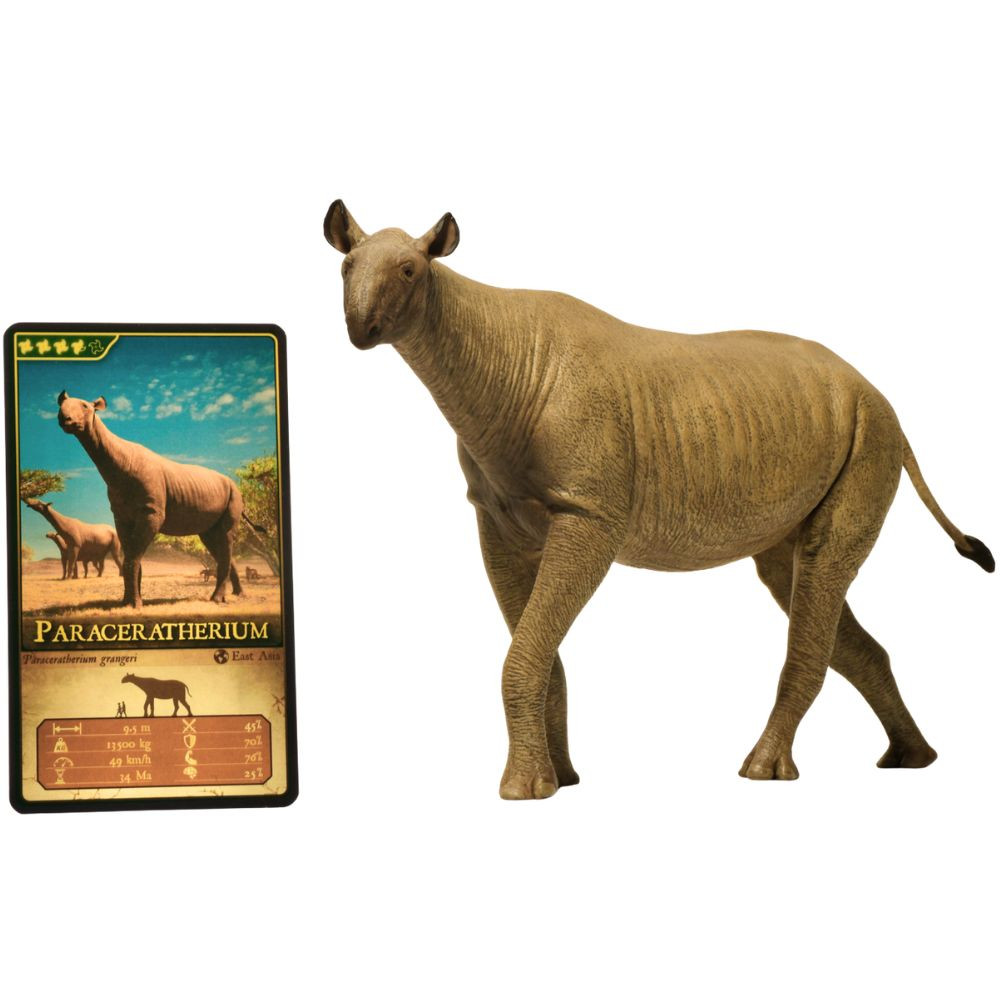 Eofauna Paraceratherium grangeri