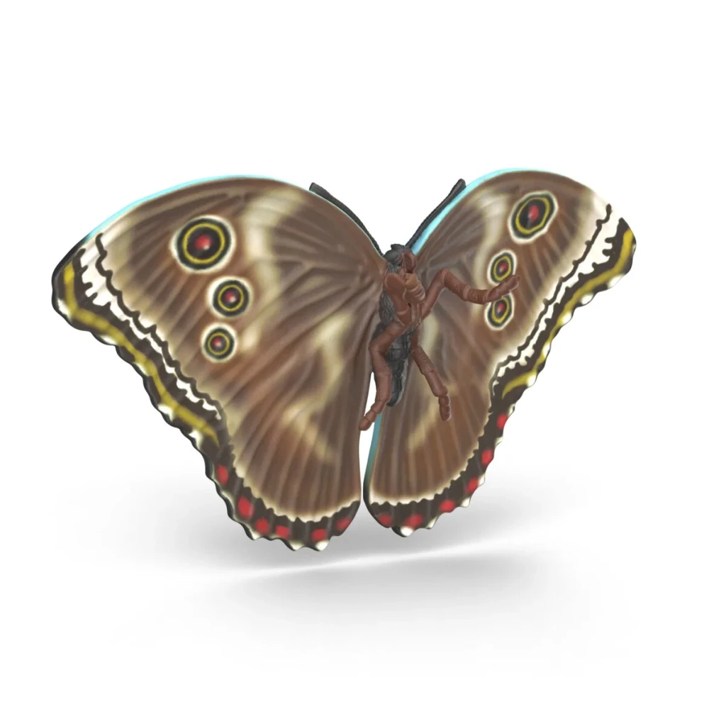 Schleich Insects Discovery Set butterfly