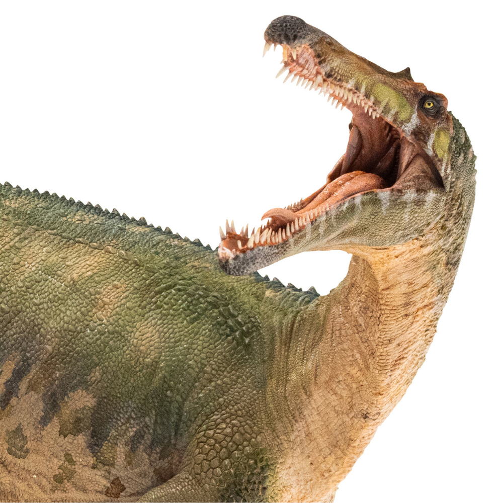 Papo Suchomimus