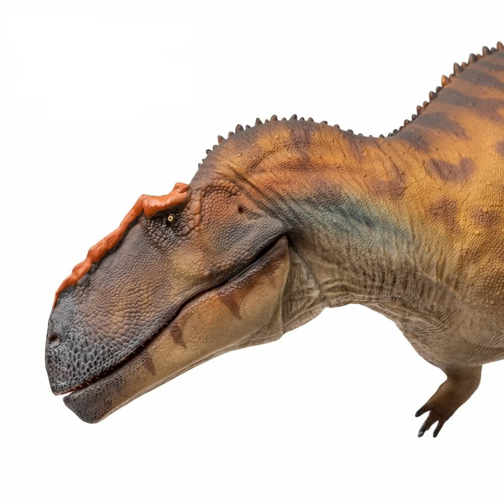 PNSO Hugo the Taurovenator replica closeup