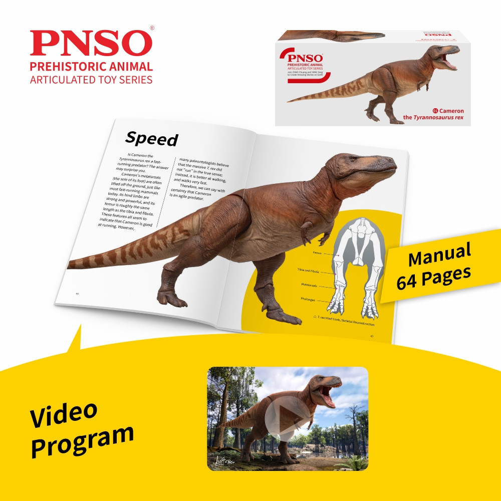 PNSO Cameron the Tyrannosaurus Rex Articulated