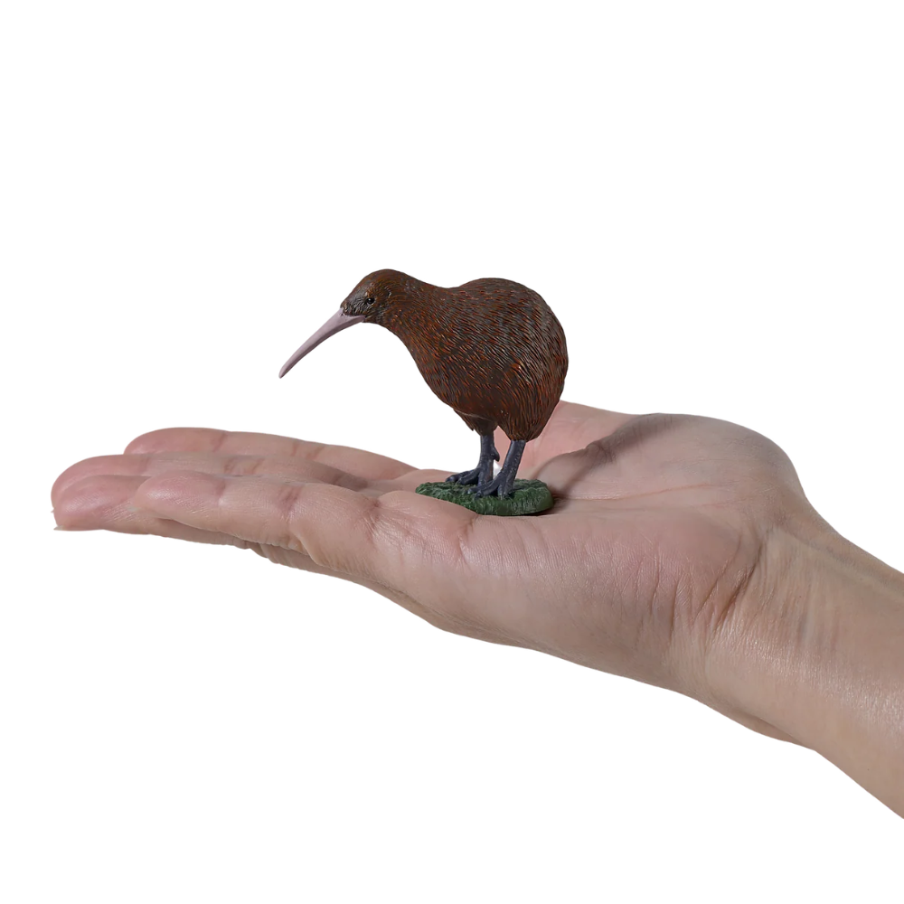 Mojo Kiwi