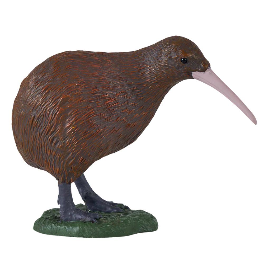 Mojo Kiwi