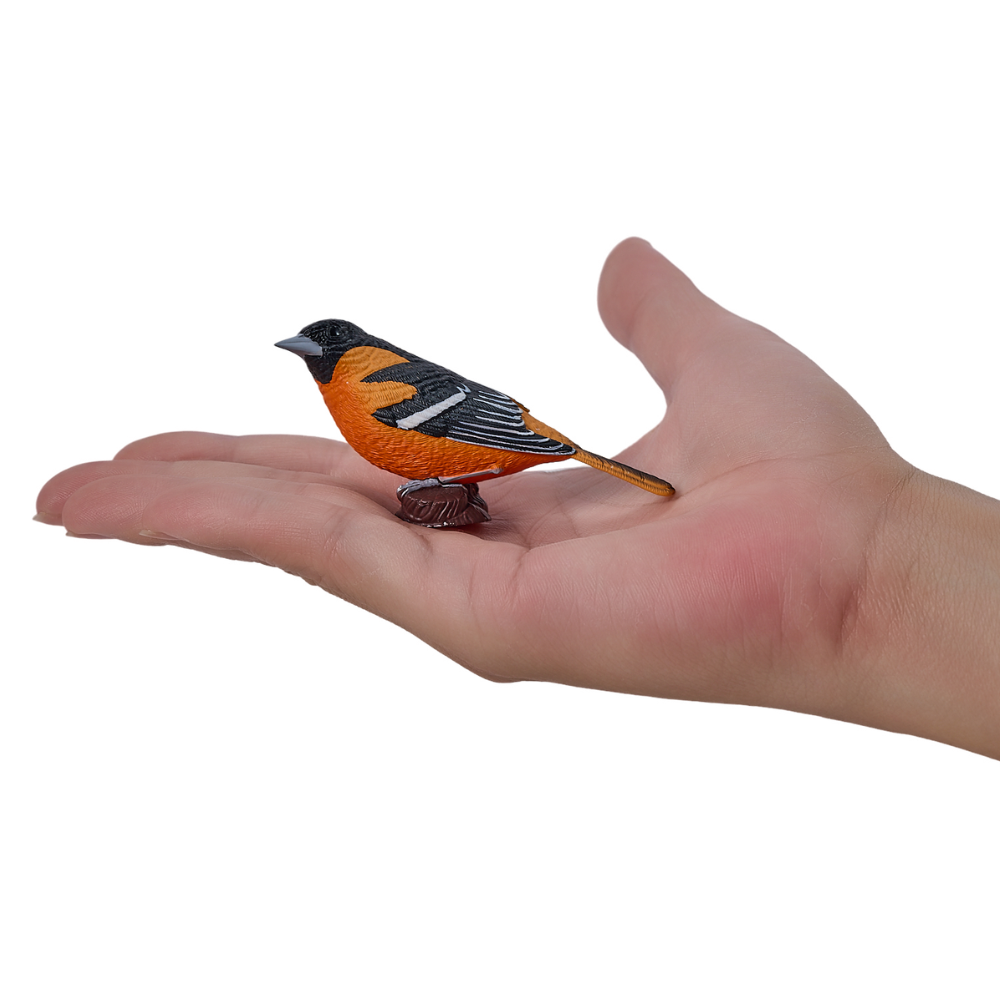 Mojo Northern Oriole