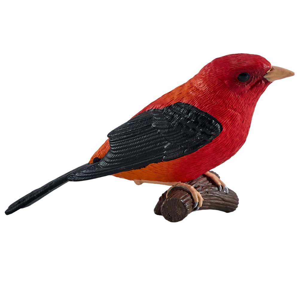 Mojo Scarlet Tanager