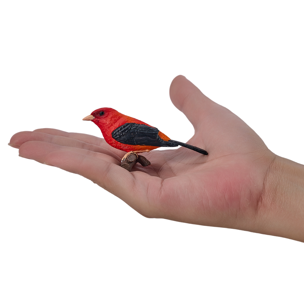 Mojo Scarlet Tanager