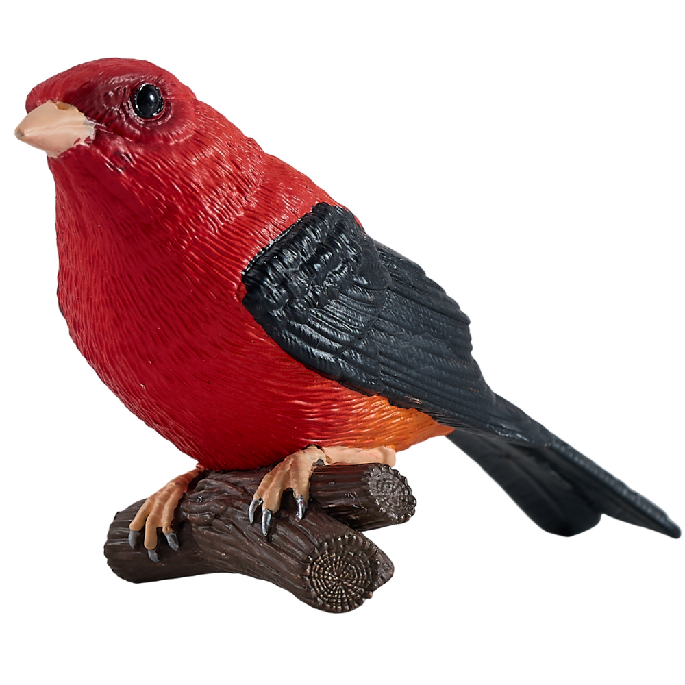 Mojo Scarlet Tanager
