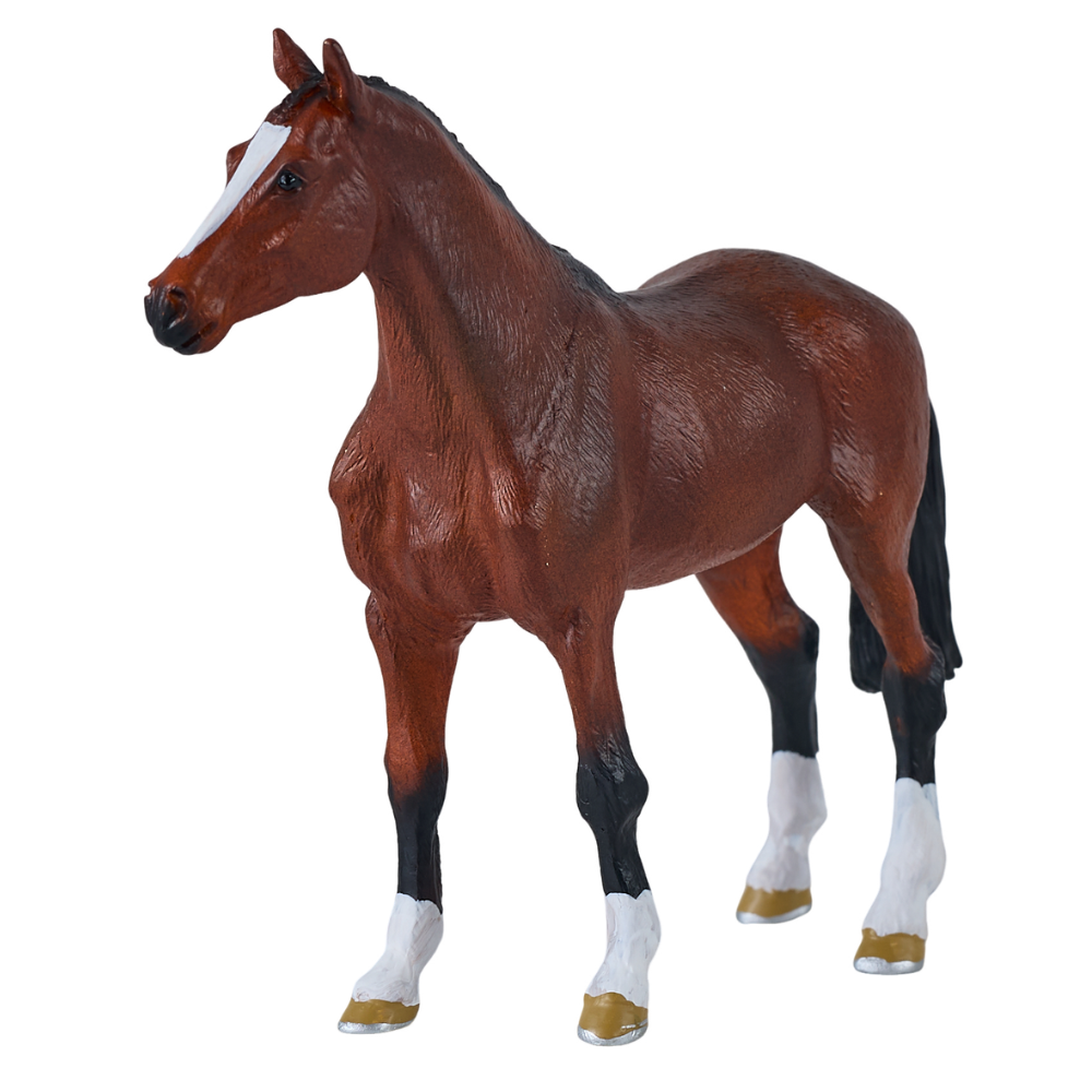 Mojo Dutch Warmblood