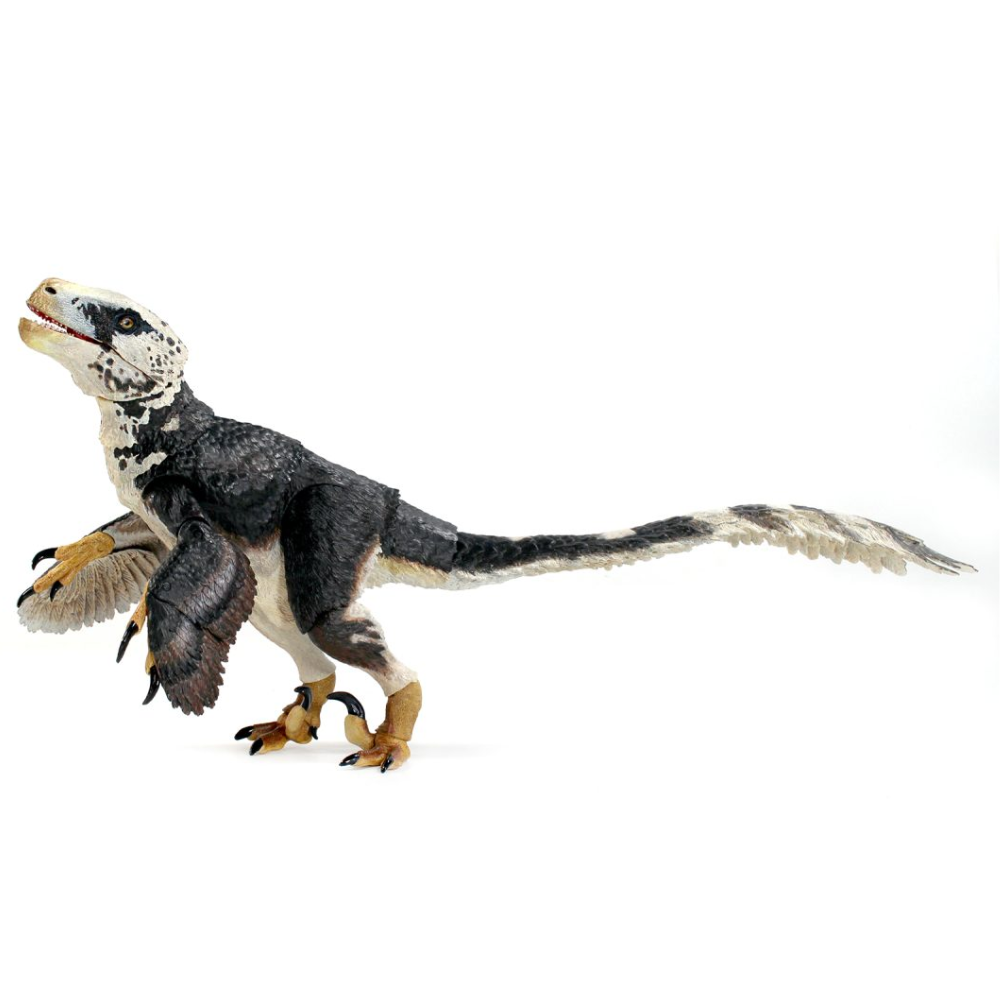 Creative Beast Utahraptor ostrommaysi 1:18 Scale articulated dinosaur