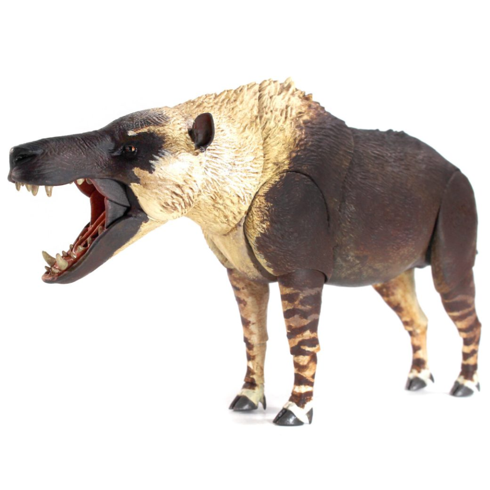 Creative Beast Andrewsarchus mongoliensis 1:18 Scale prehistoric model