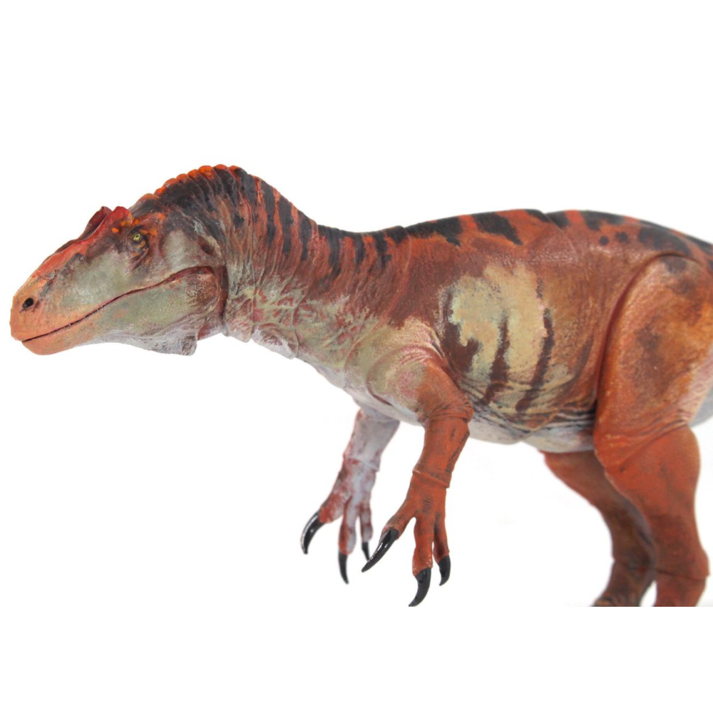 Creative Beast Allosaurus Jimmadseni 1:35 Scale