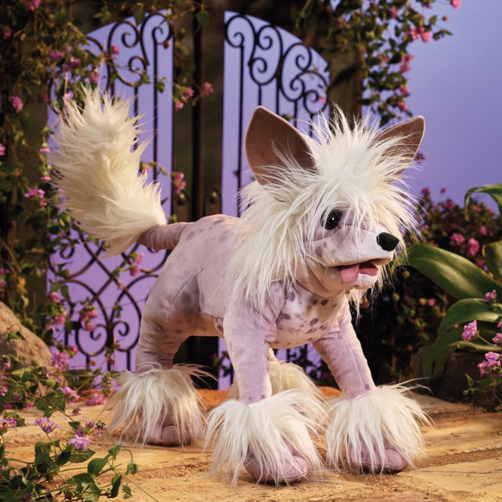 Folkmanis Chinese Crested Dog Puppet lifestyle