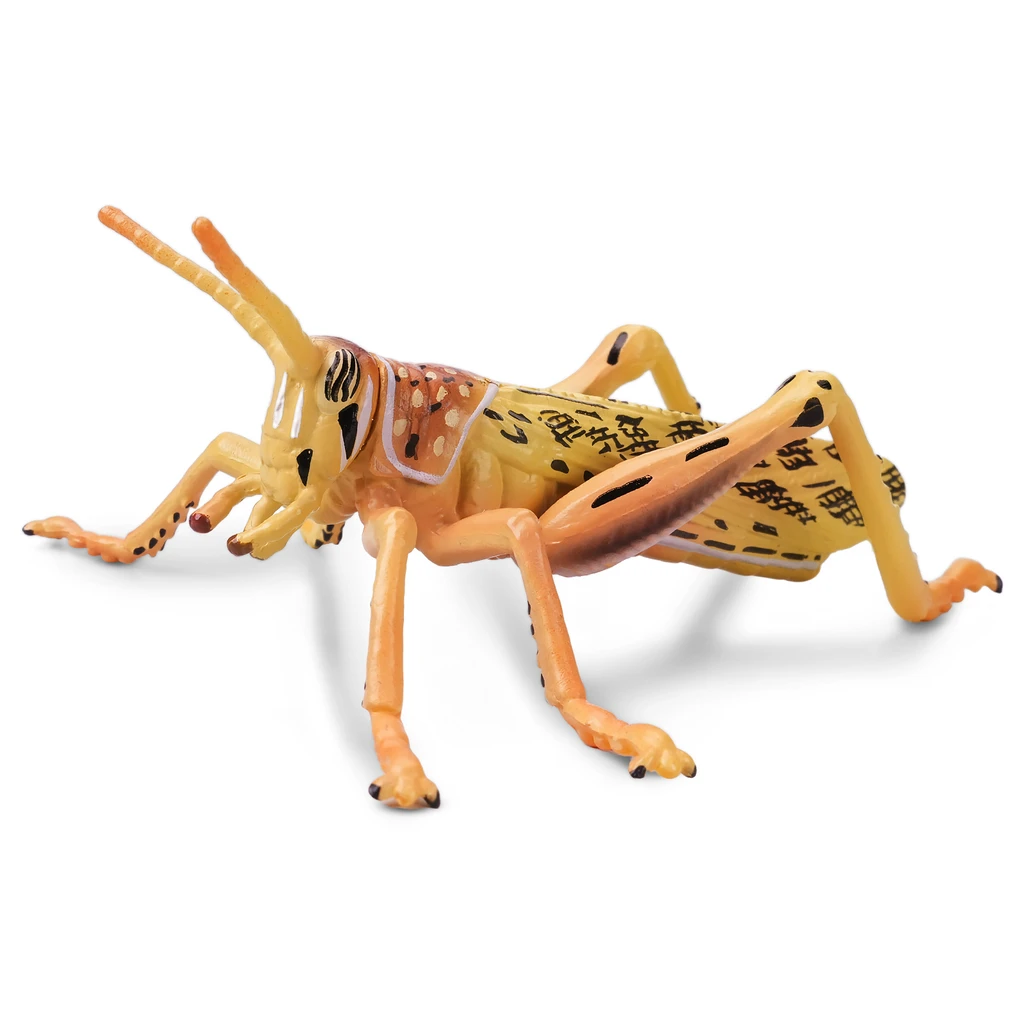 Toymany Desert Locust toy figurine