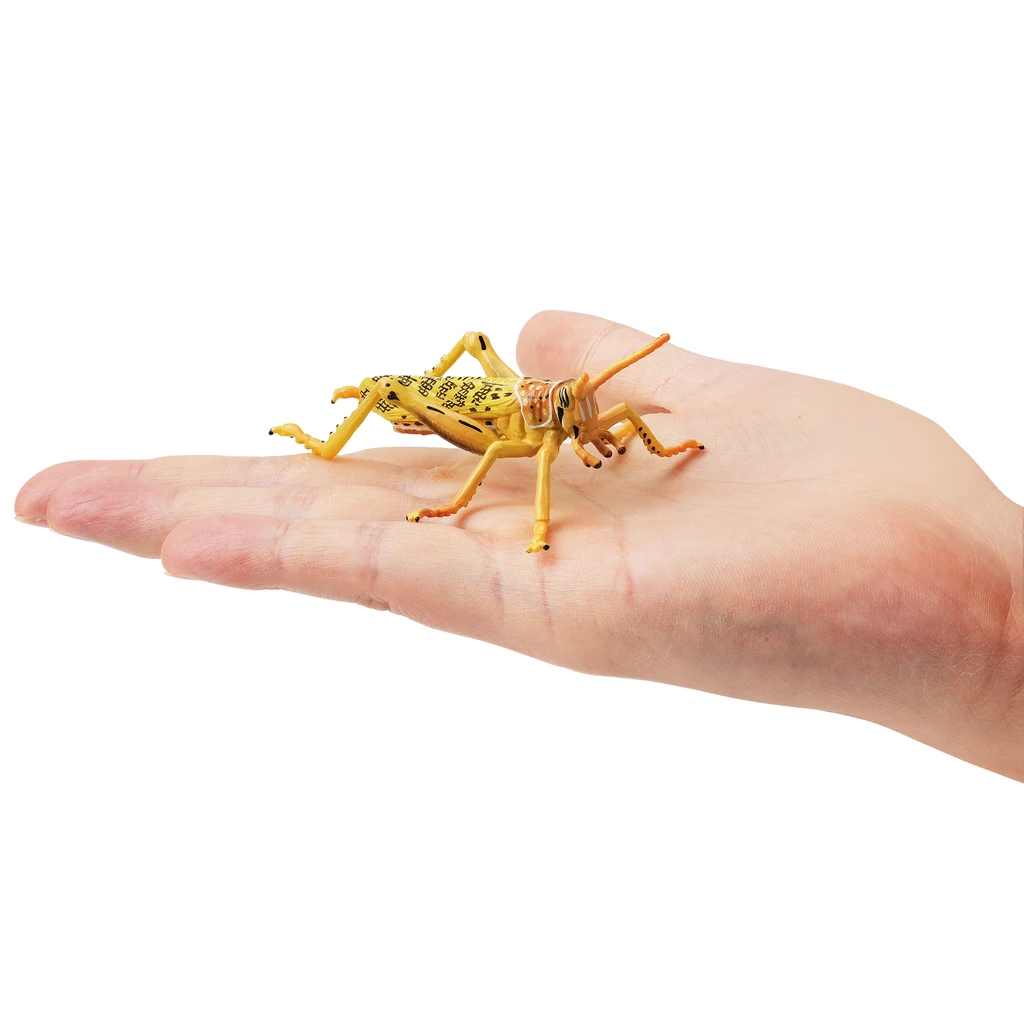 Toymany Desert Locust size in hand