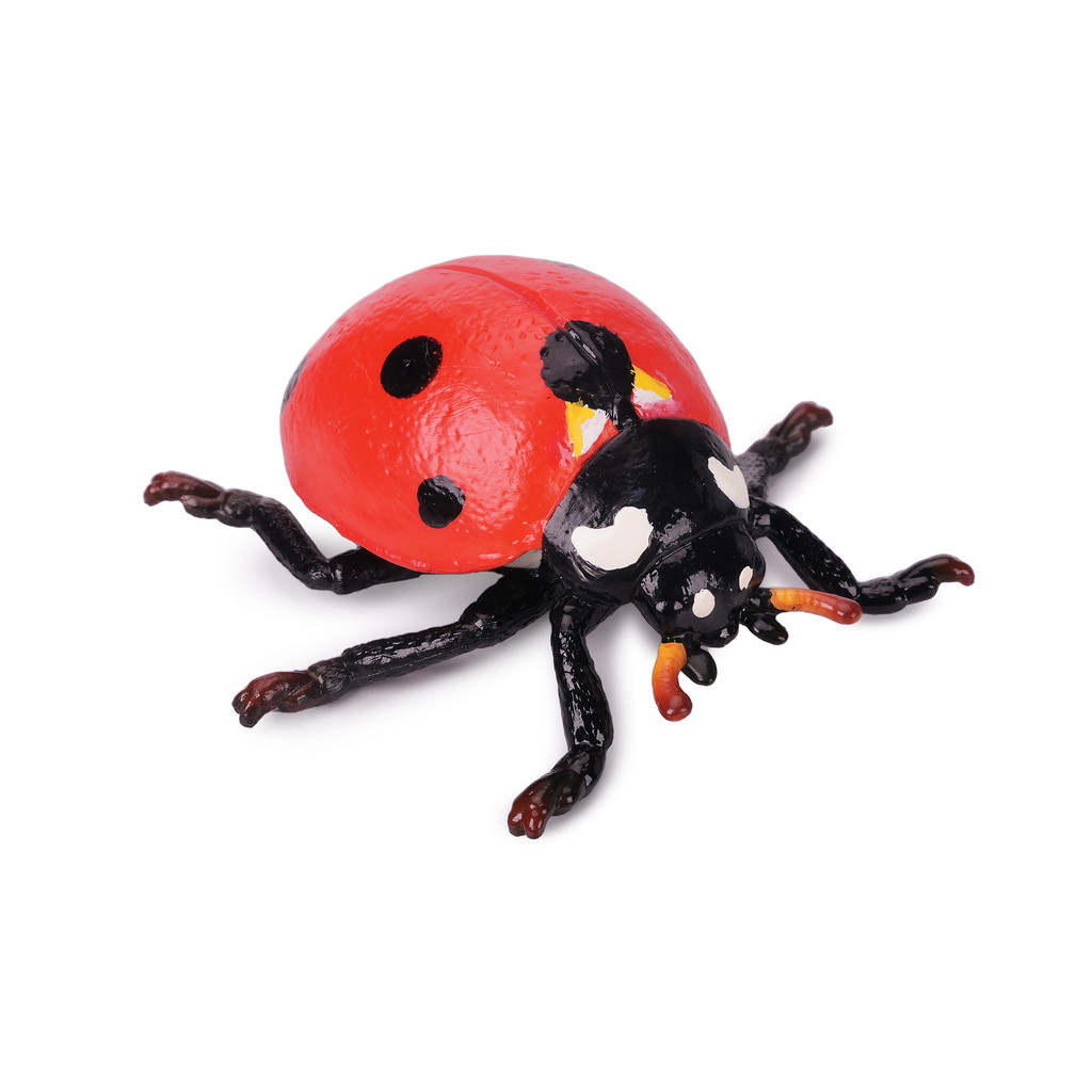 Toymany Seven-Spotted Ladybug toy