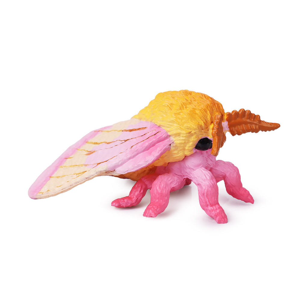 Toymany Rosy Maple Moth side view