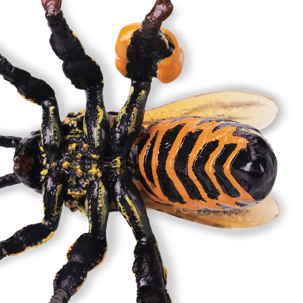 Toymany Honeybee details