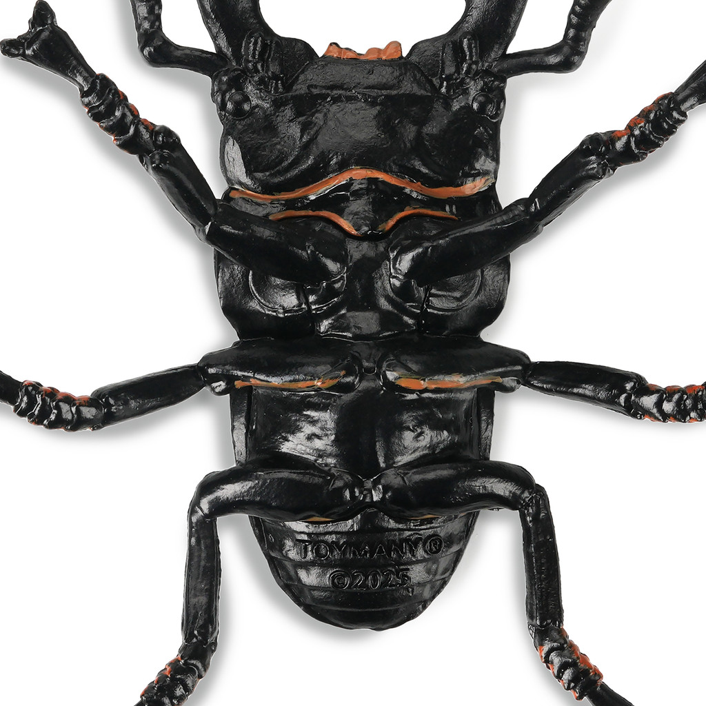 Toymany Giant Stag Beetle details
