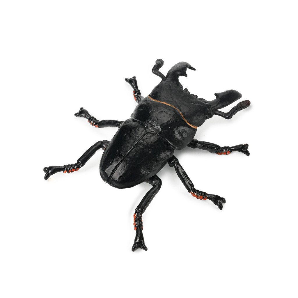 Toymany Giant Stag Beetle back view