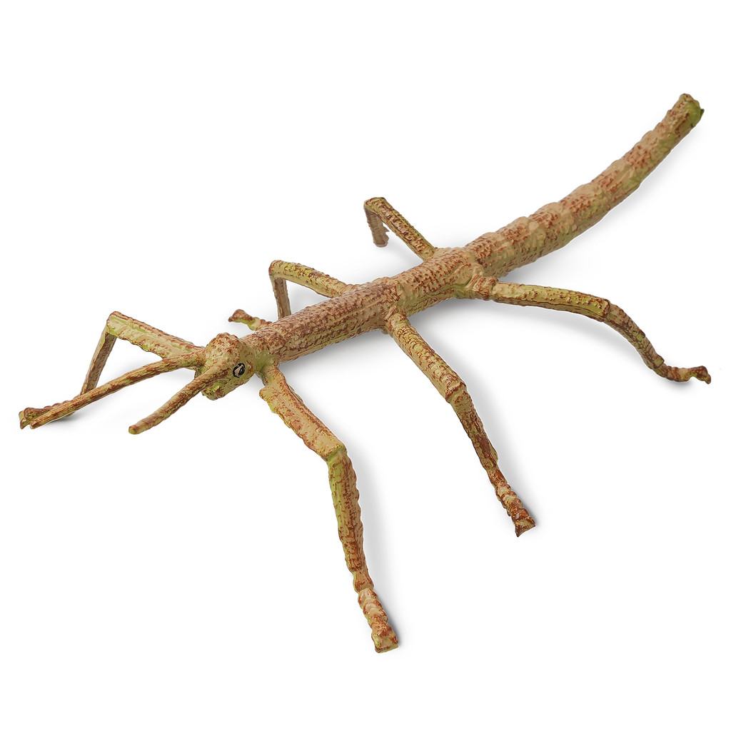 Toymany Stick Insect toy figurine