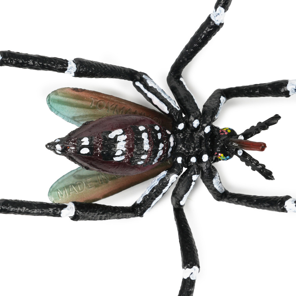 Toymany Asian Tiger Mosquito details