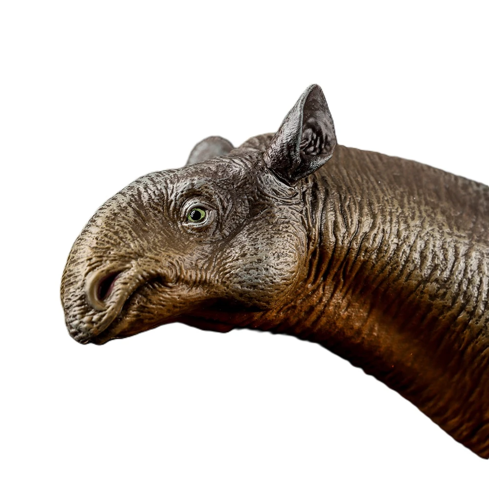 Haolonggood Paraceratherium