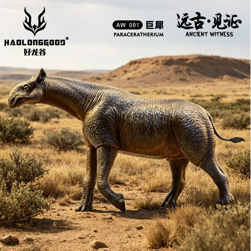Haolonggood Paraceratherium lifestyle