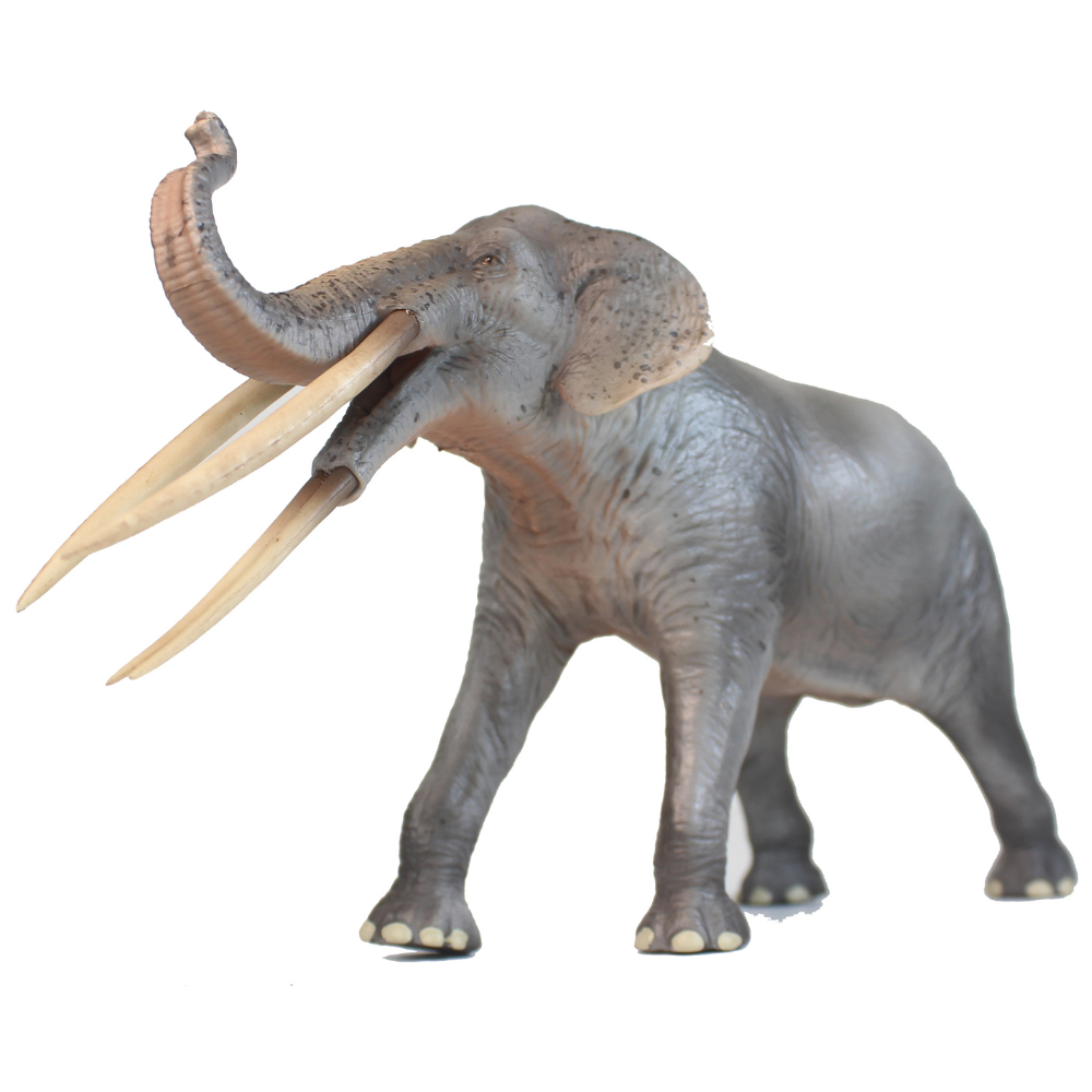 Haolonggood Stegolophodon Grey