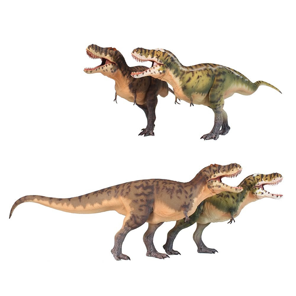 Haolonggood Tarbosaurus Brown Yang Lin