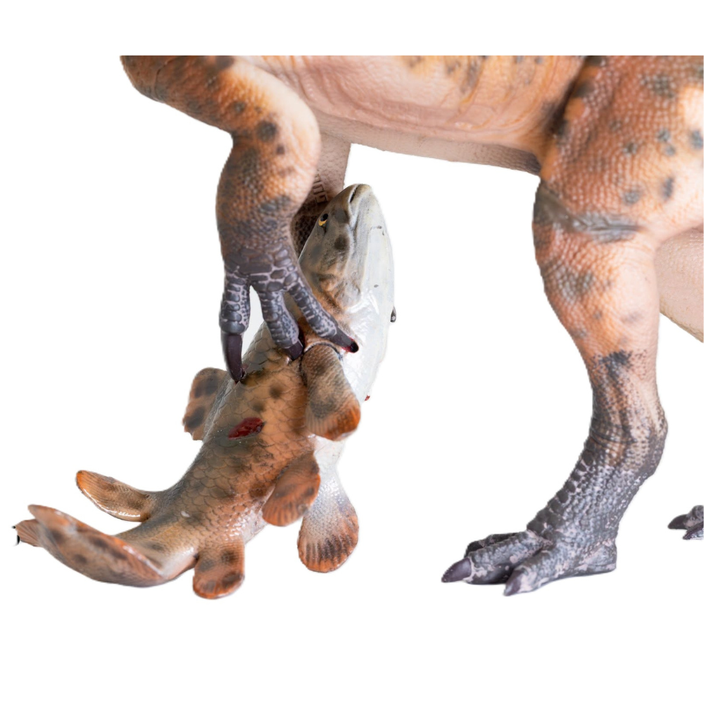 Haolonggood Spinosaurus mirabilis Grey Zhang Heng